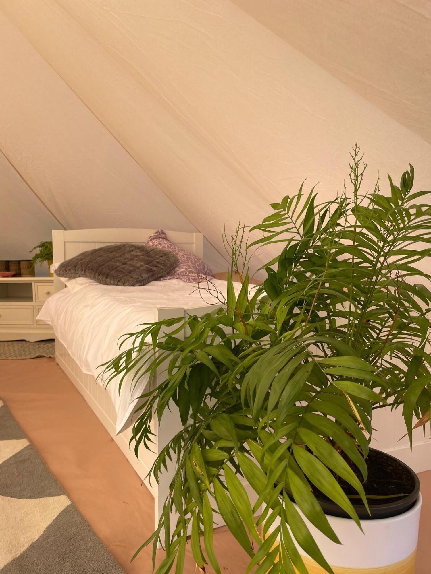 Trevena Cross Glamping & Camping Helston Εξωτερικό φωτογραφία