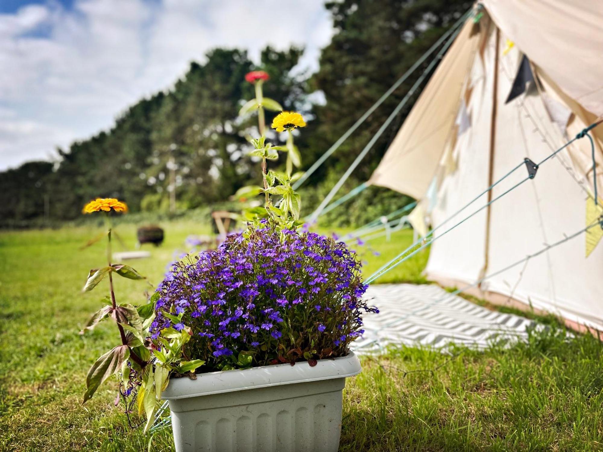 Trevena Cross Glamping & Camping Helston Εξωτερικό φωτογραφία